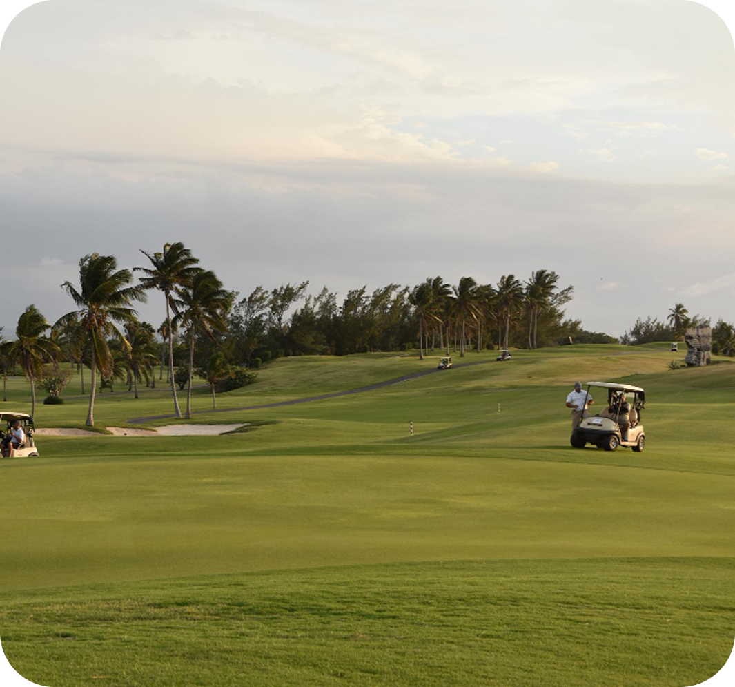 golf pic